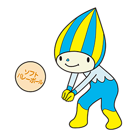 ソフトバレーボール